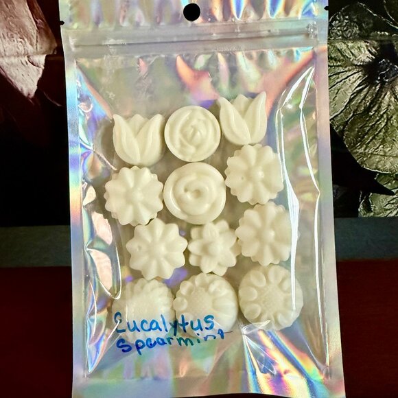 NEW WAX MELTS 2.12oz Bath and Body Works Candle Wax Melts - EUCALYPTUS SPEARMINT - Picture 3 of 3